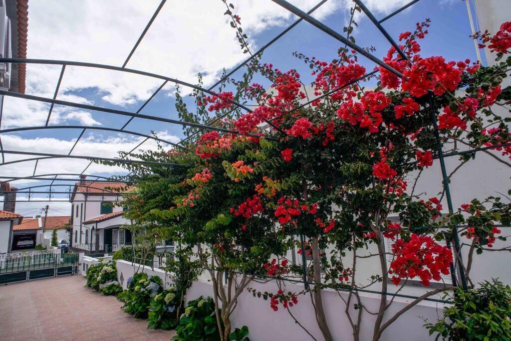 Vivenda Glorize Apartment Agua de Alto Exterior photo